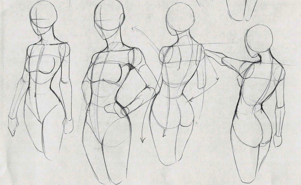 Female Torso Drawing Reference And Sketches For Artists