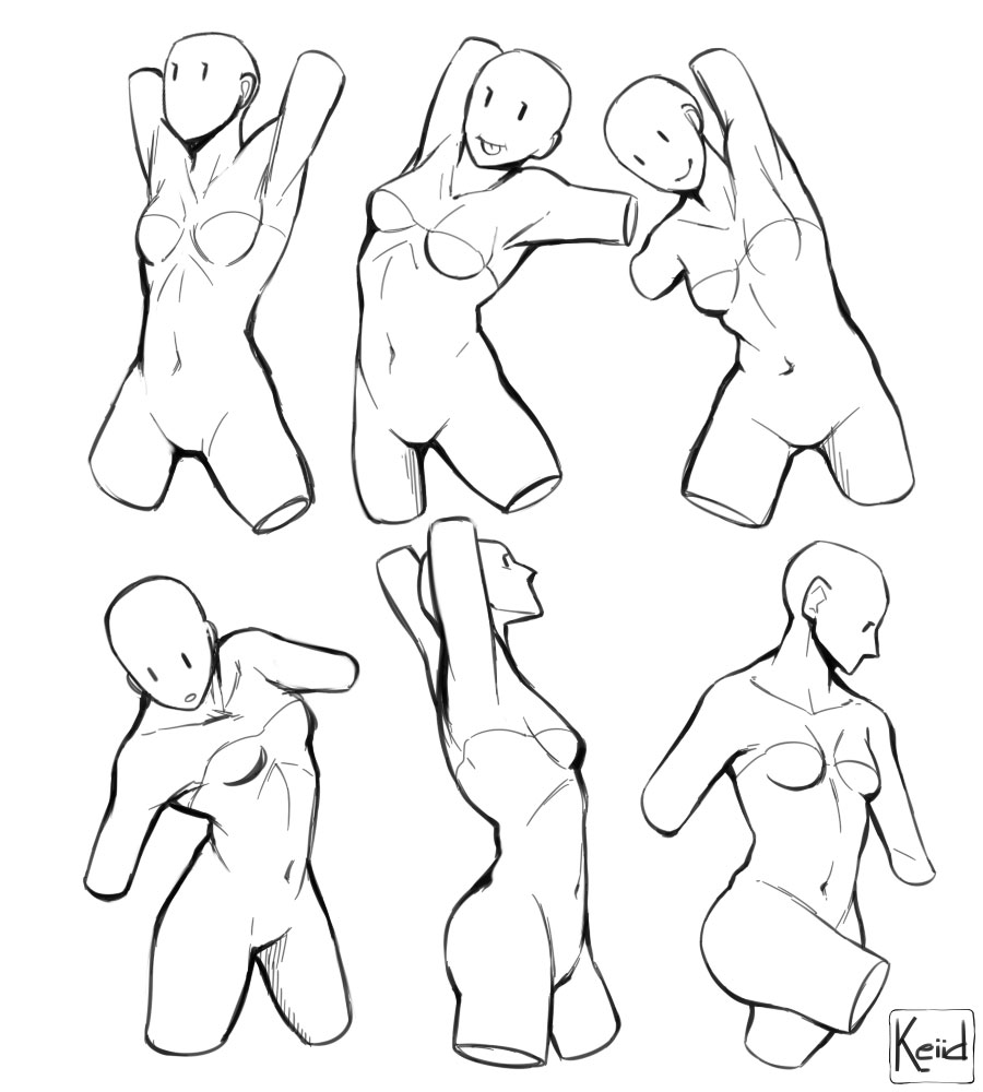 Female torso drawing reference