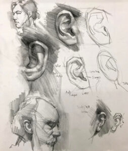 Ear Drawing Reference and Sketches for Artists