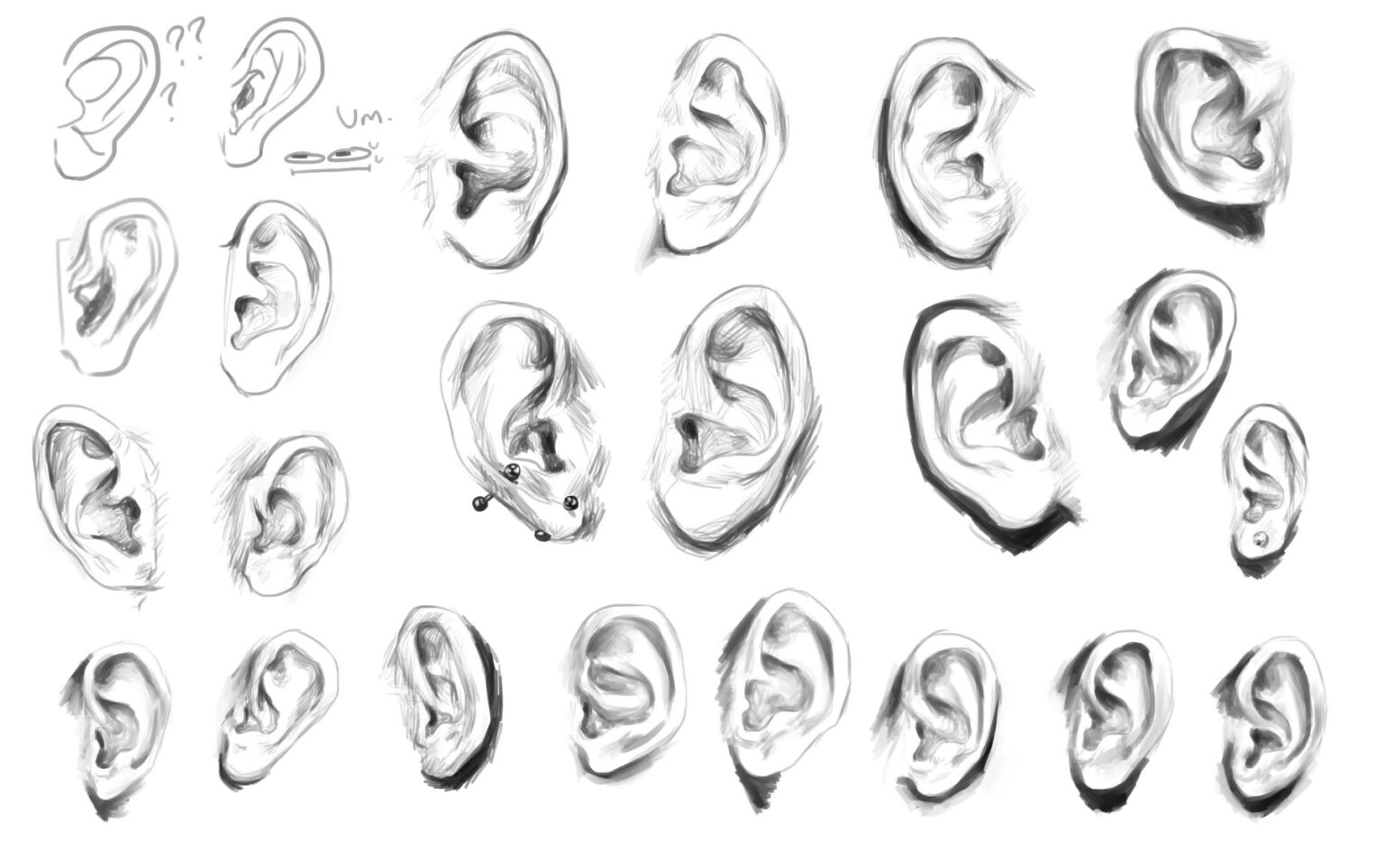 Ear Drawing Reference and Sketches for Artists