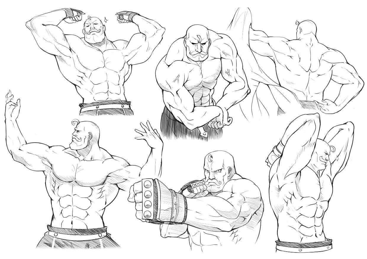 Muscle Drawing Reference and Sketches for Artists.