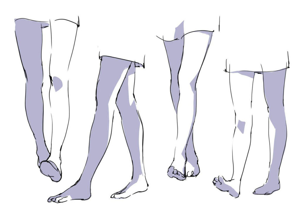 Female legs Drawing Reference and Sketches for Artists