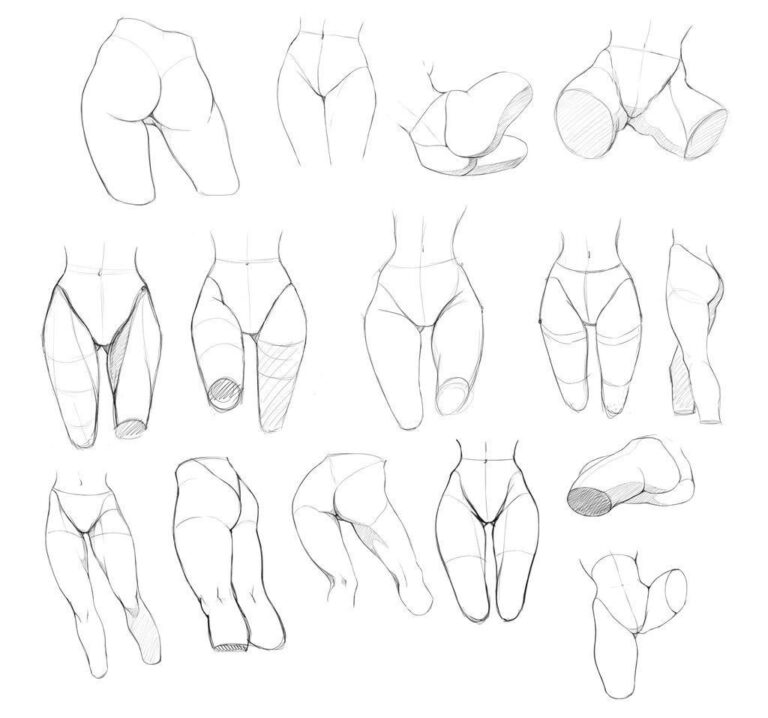 Female legs Drawing Reference and Sketches for Artists