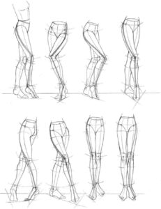 Female legs Drawing Reference and Sketches for Artists