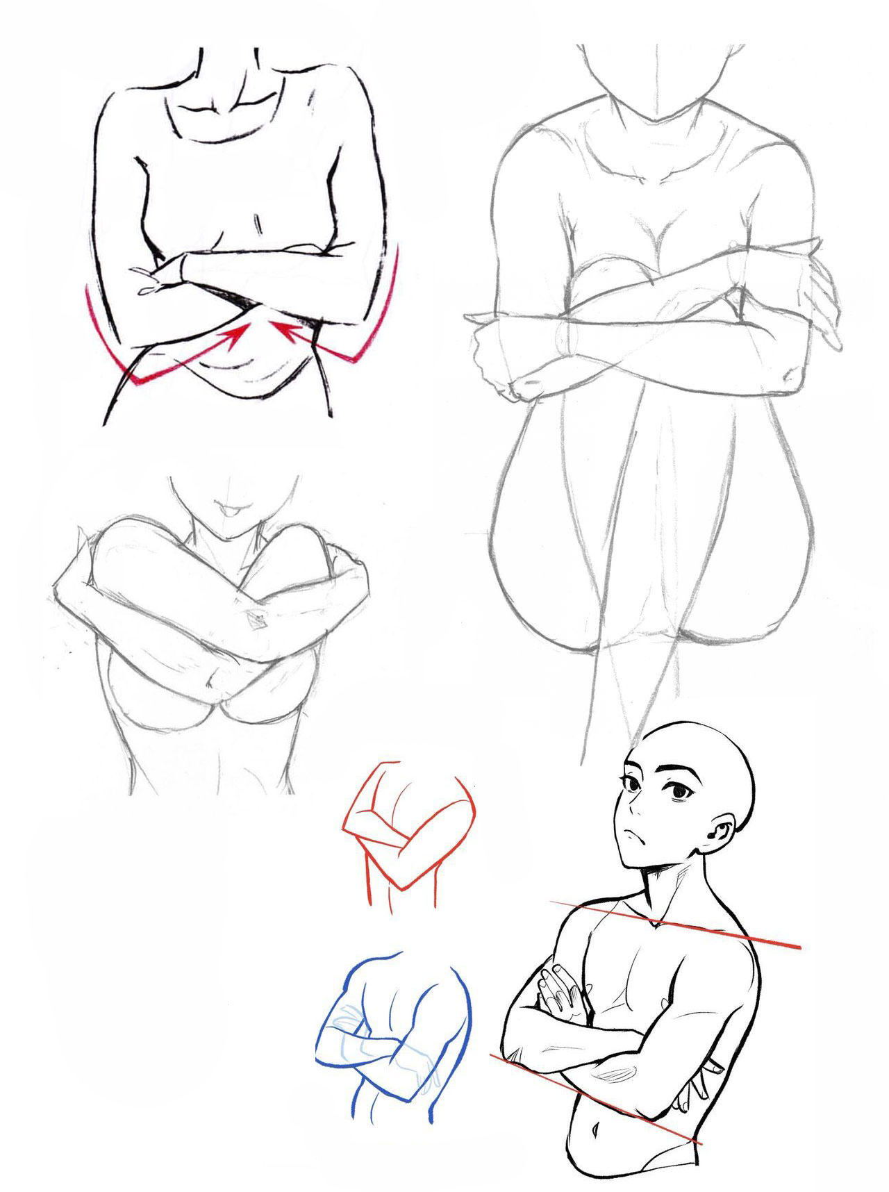 Arms crossed Drawing Reference and Sketches for Artists