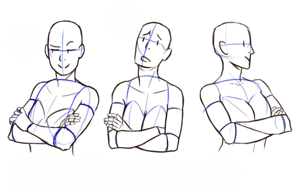 Arms crossed Drawing Reference and Sketches for Artists