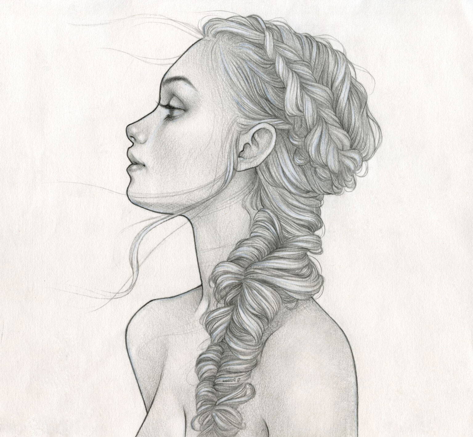 Braid Drawing Reference and Sketches for Artists