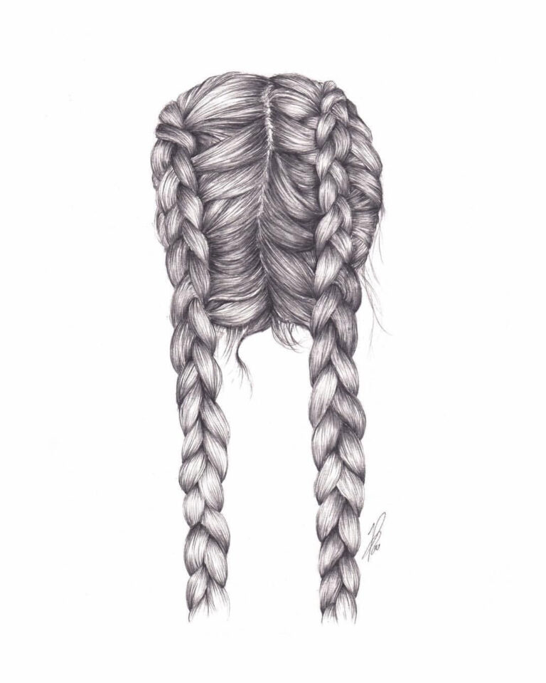 Braid Drawing Reference and Sketches for Artists