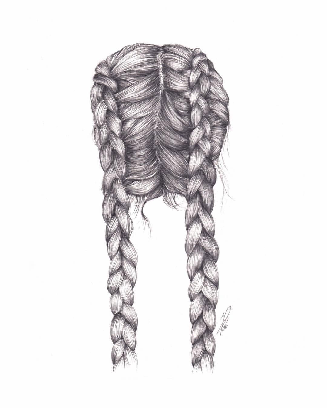 braid drawing reference