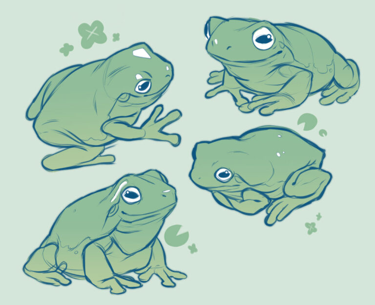 Frog Drawing Reference and Sketches for Artists