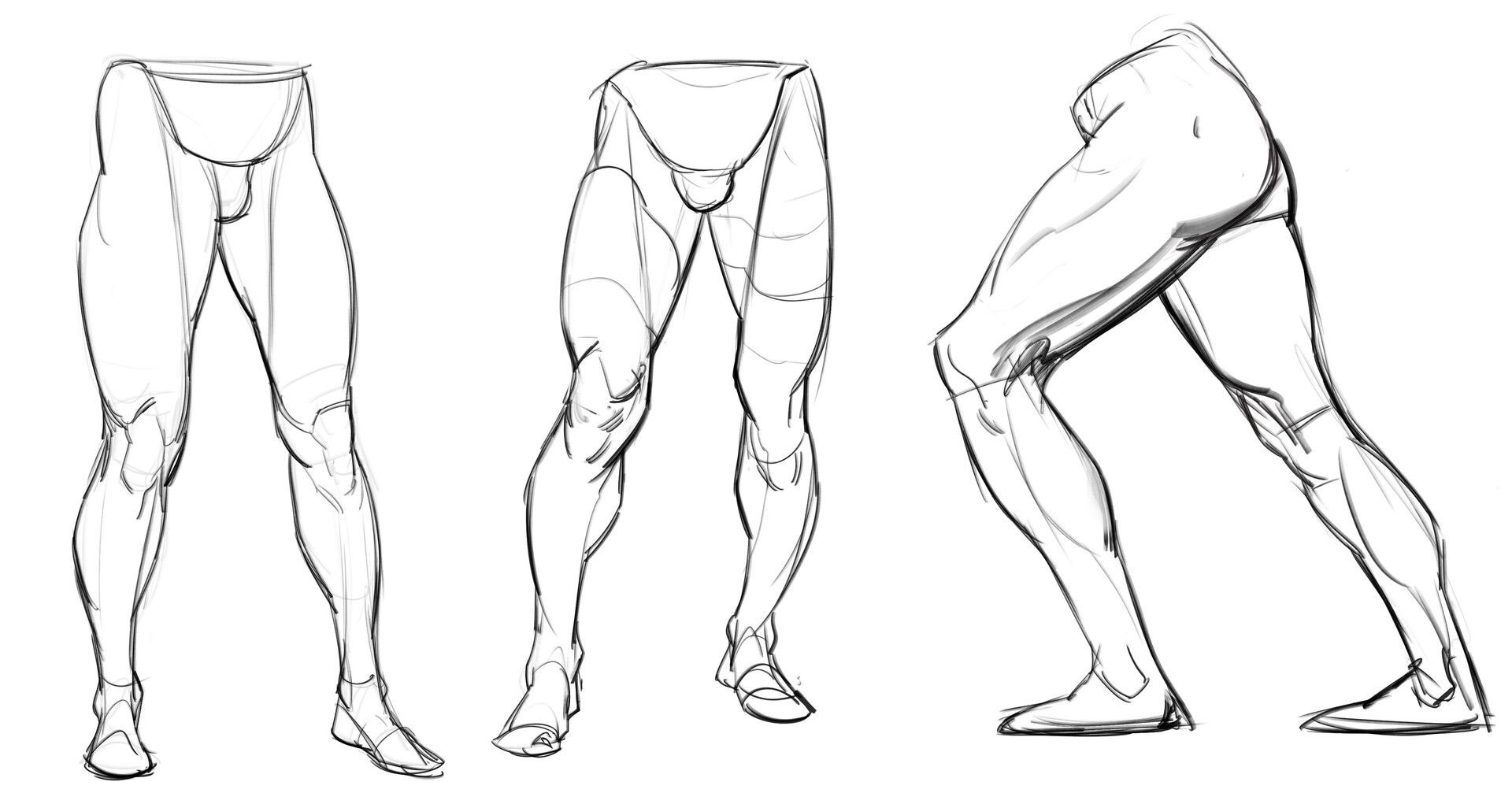 male leg drawing reference