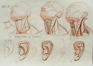 Neck Drawing Reference and Sketches for Artists