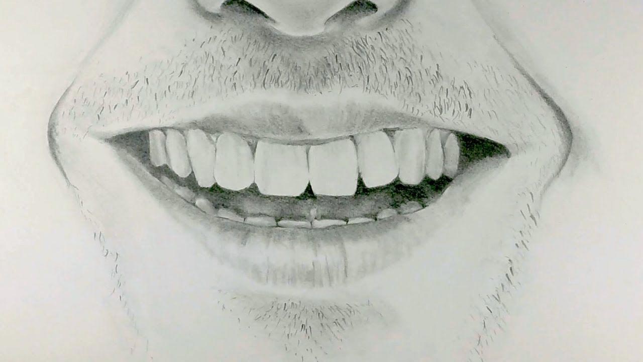 Teeth Drawing Reference and Sketches for Artists