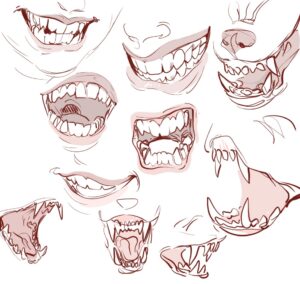 Teeth Drawing Reference and Sketches for Artists