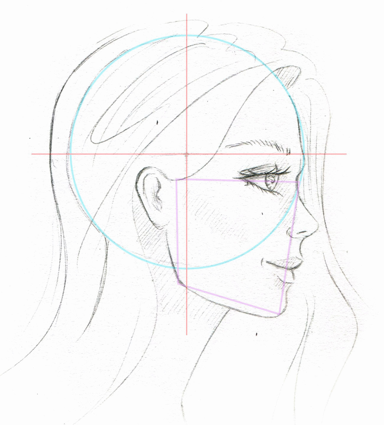 Female face side view drawing reference