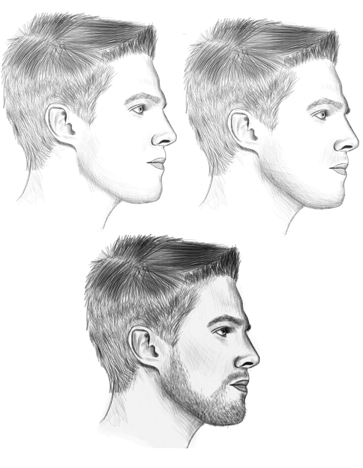 Male Face Side View Drawing Reference And Sketches For Artists