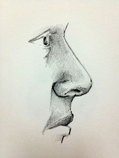 Male face side view drawing reference