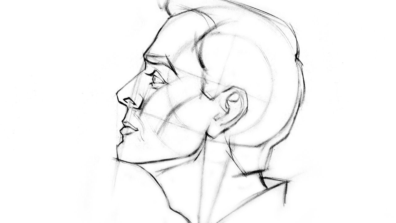 Male face side view drawing reference