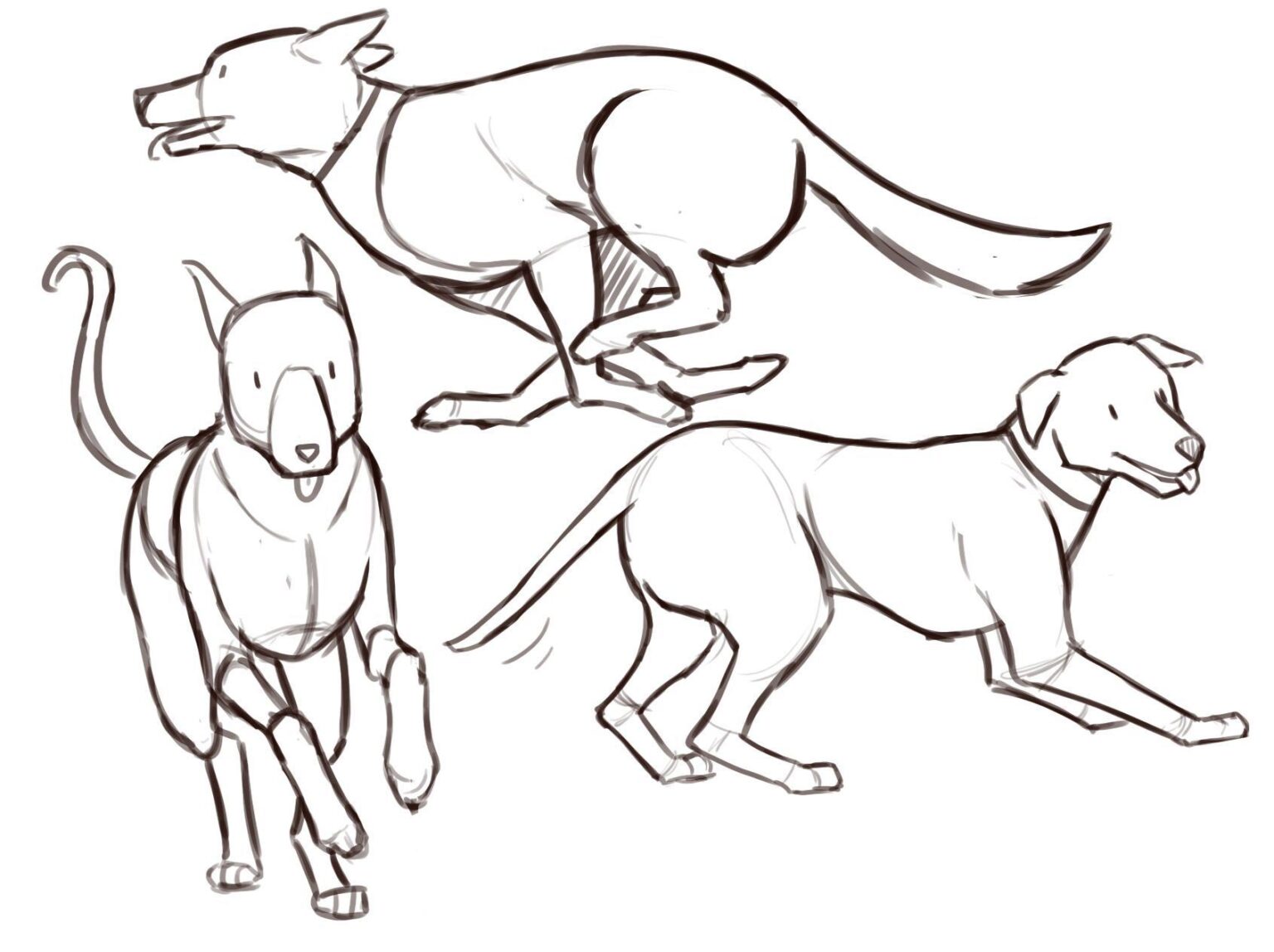 Best How To Draw A Dog Running of the decade Check it out now 