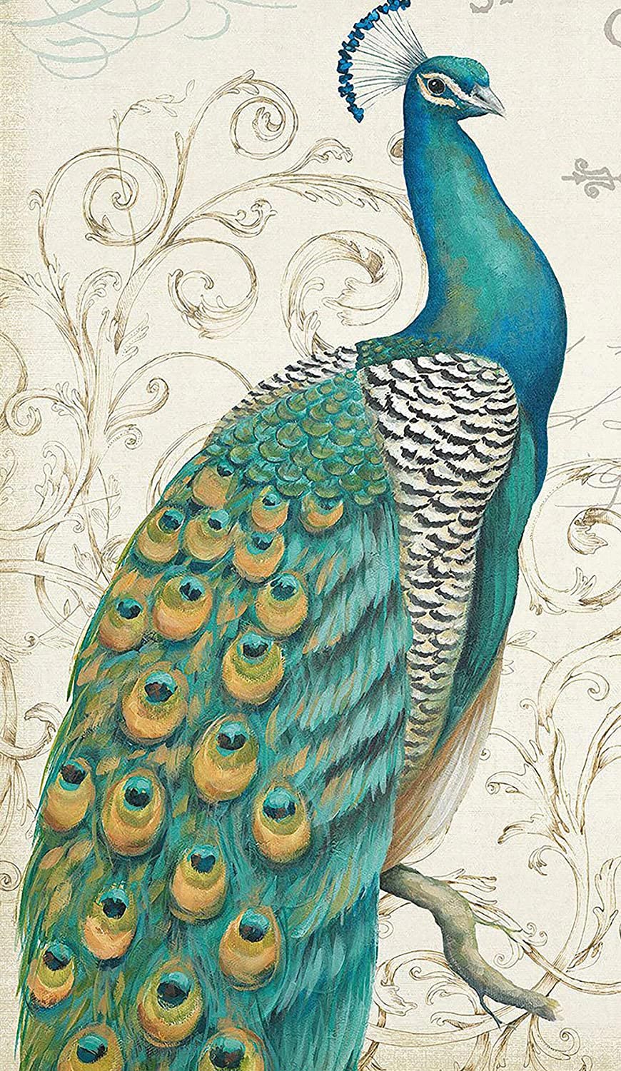 Peacock drawing reference