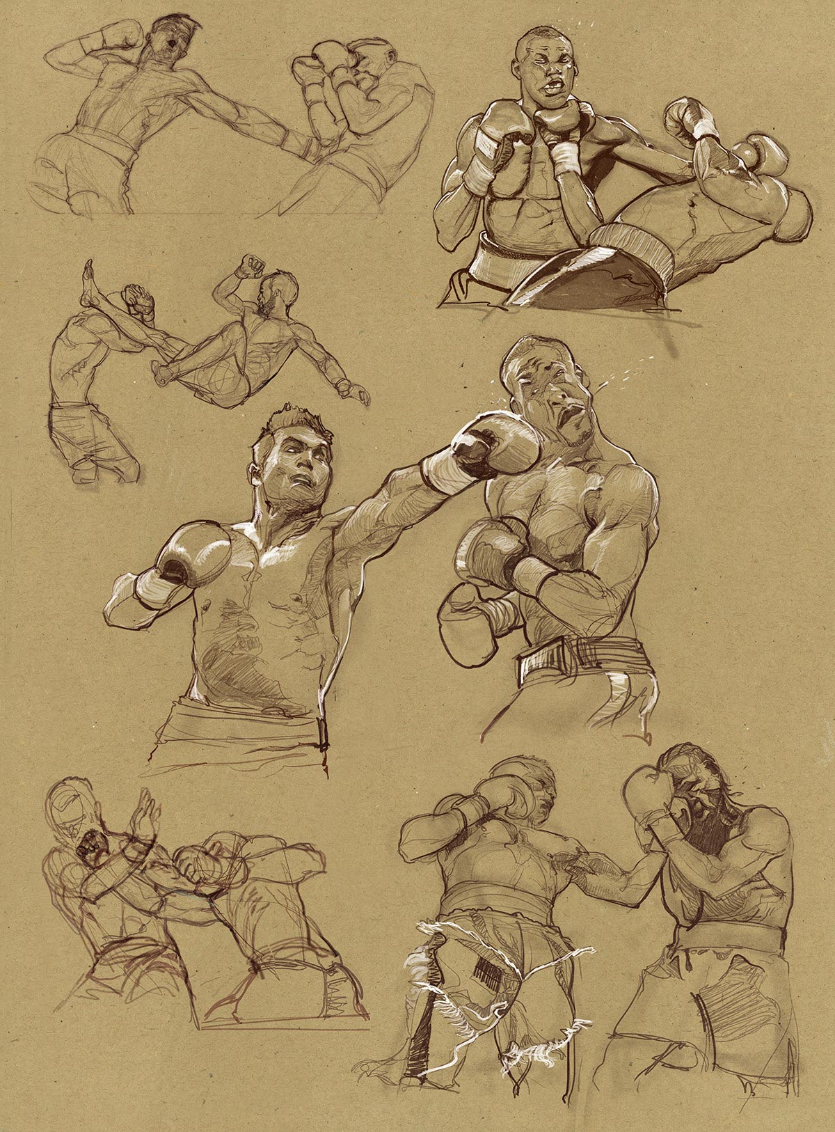 Boxing drawing reference
