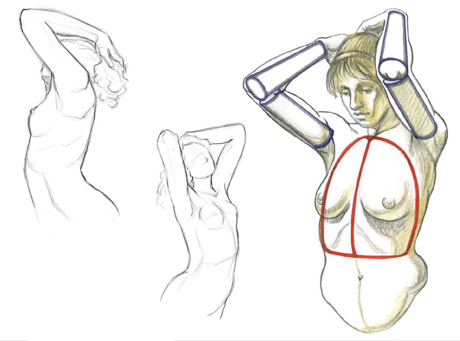 Arms behind head drawing reference