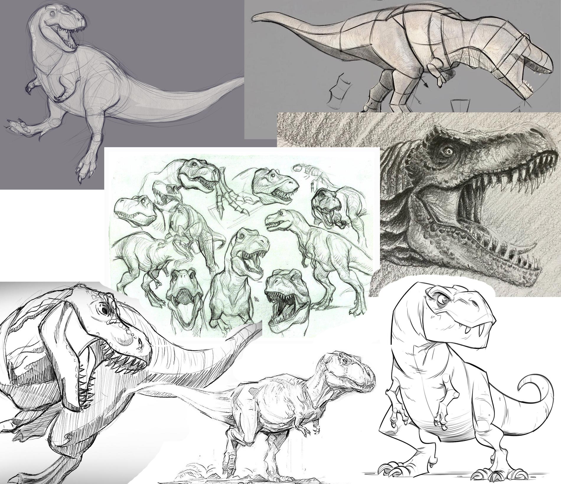 Tyrannosaurus T-Rex drawing reference