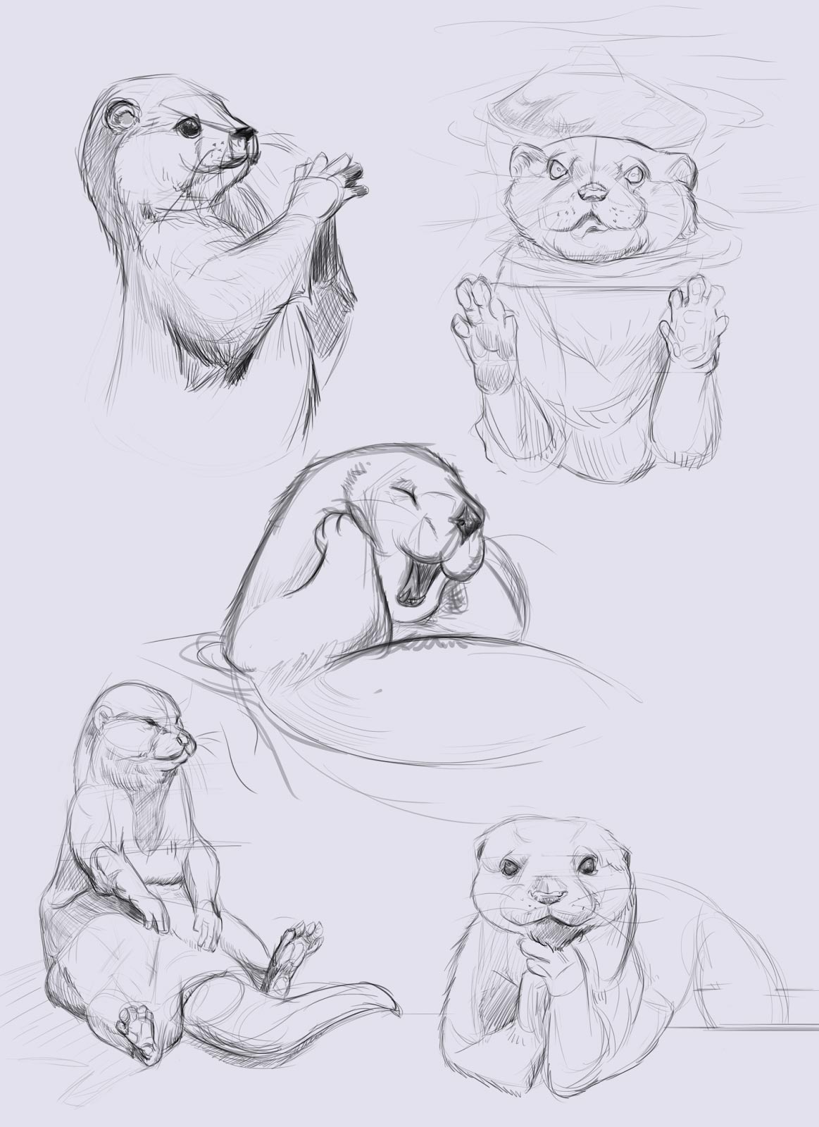Otter drawing reference