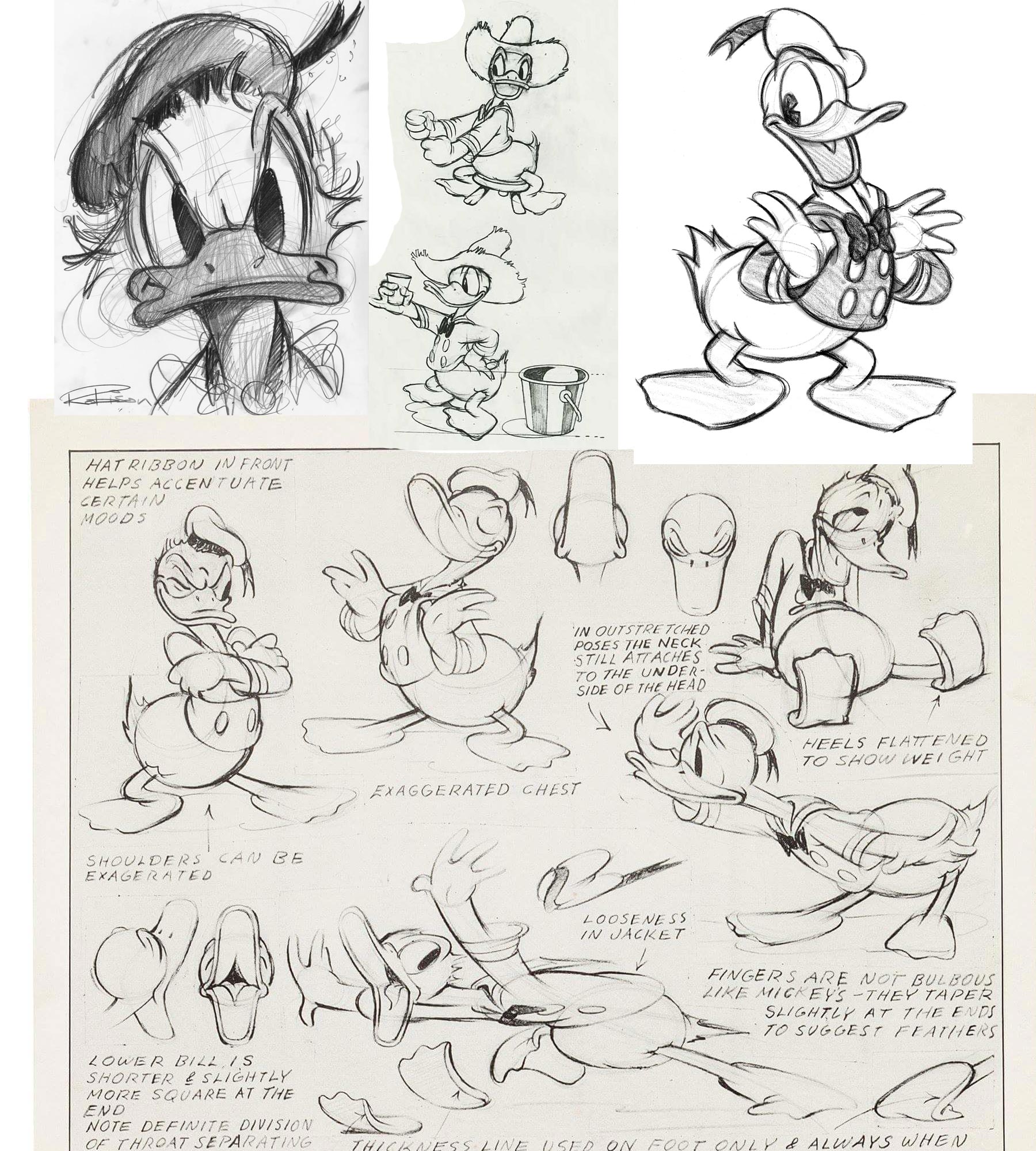 Donald Duck drawing reference