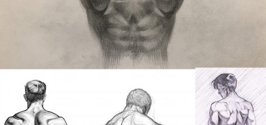 Male muscular back drawing reference
