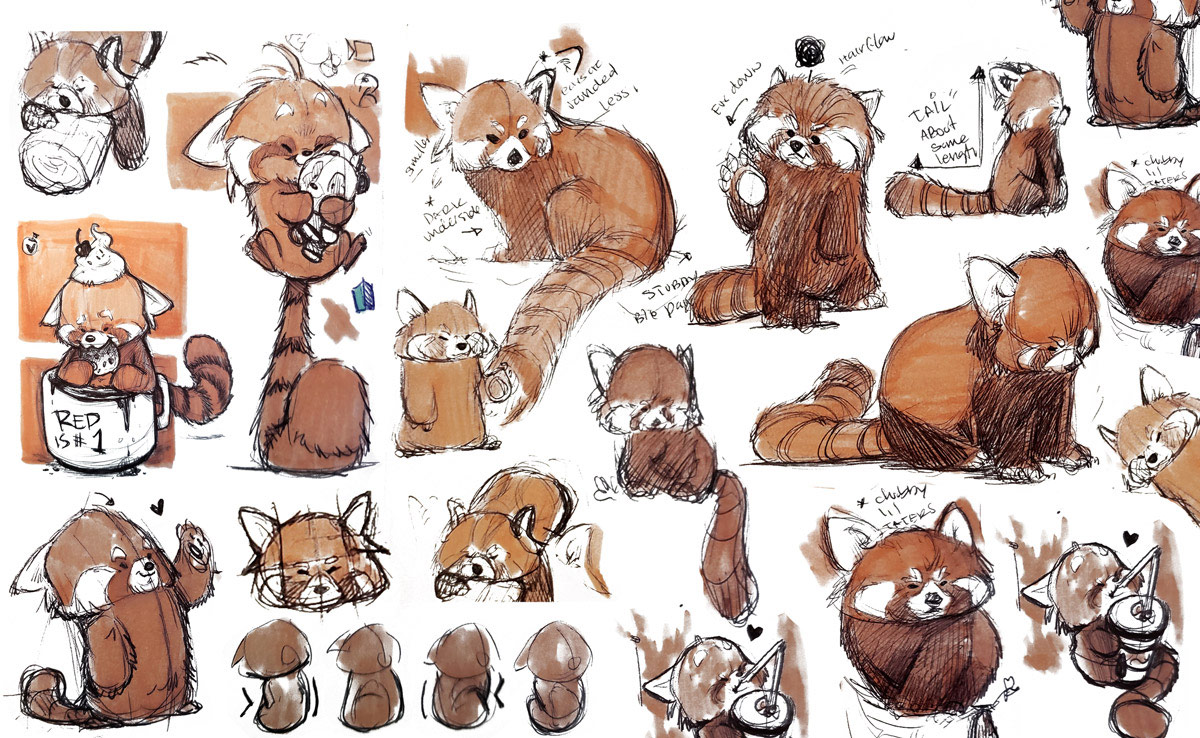 red panda drawing reference
