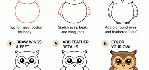 How to Draw an Owl step by step