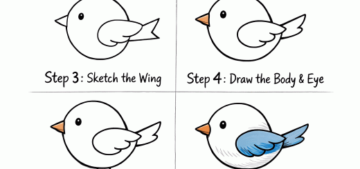 How to Draw Bird Step by Step